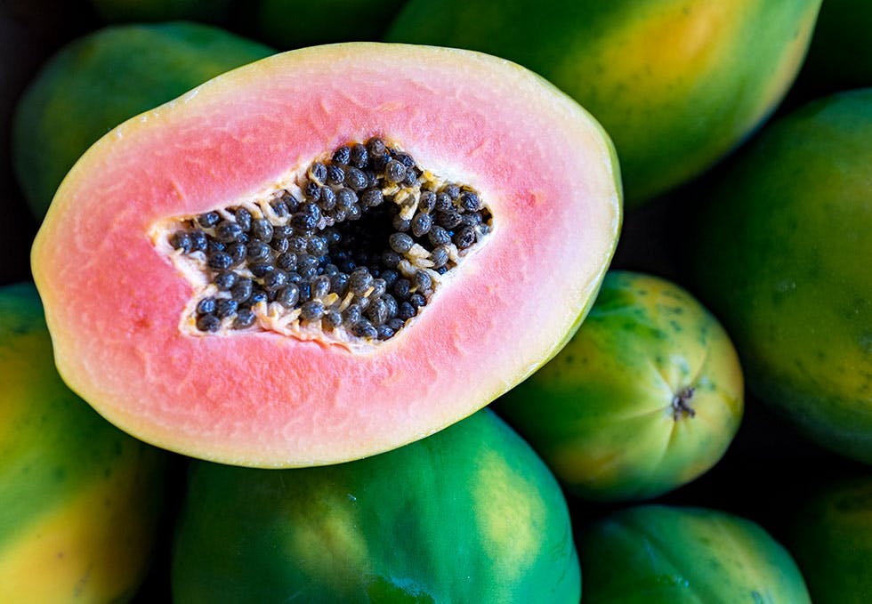 Papaya oppskrifrer med